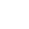 phone-icon